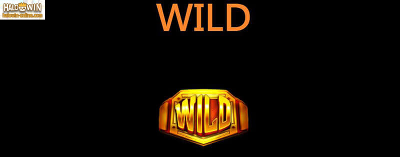 JILI Boxing King Slot Machine-Wild